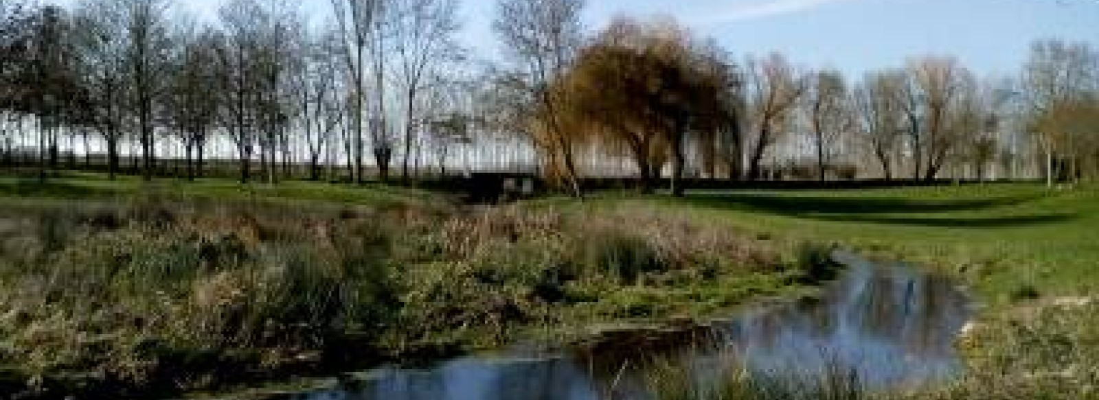 AIRE DE PIQUE NIQUE DU PONT DES BUTTES