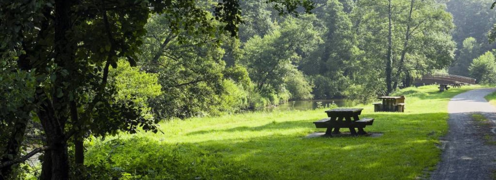 AIRE DE PIQUE NIQUE - OISSEAU