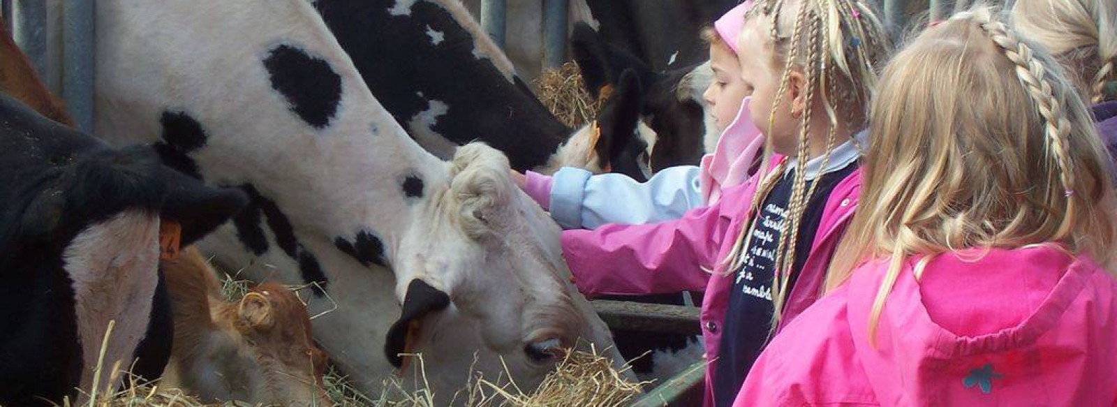 FERME PEDAGOGIQUE LA GASSELINAIS