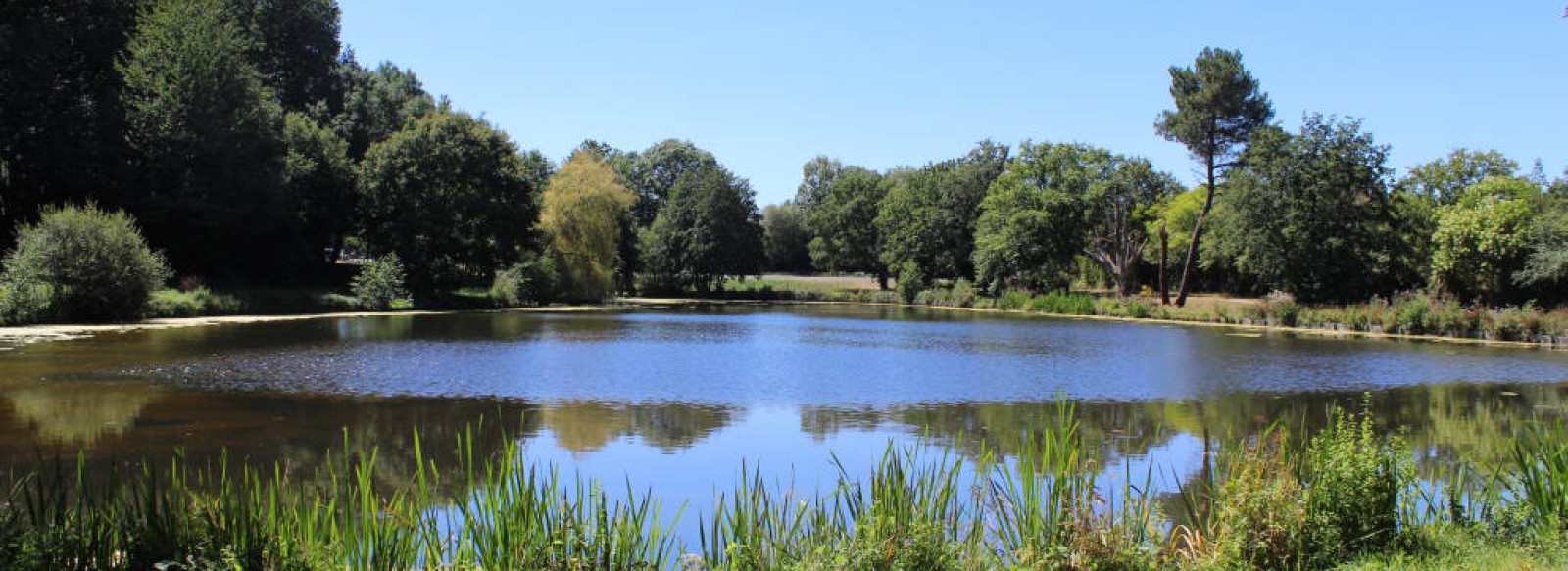 PECHE A L'ETANG DE LA BRETECHE