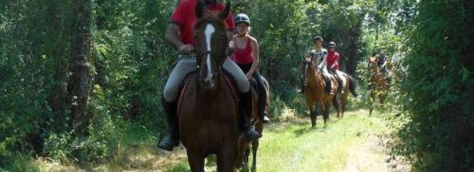 FERME EQUESTRE DE LA TUILERIE