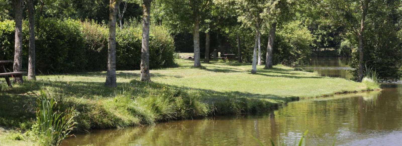 AIRE DE PIQUE-NIQUE DU PLAN D'EAU DES MORINEAUX