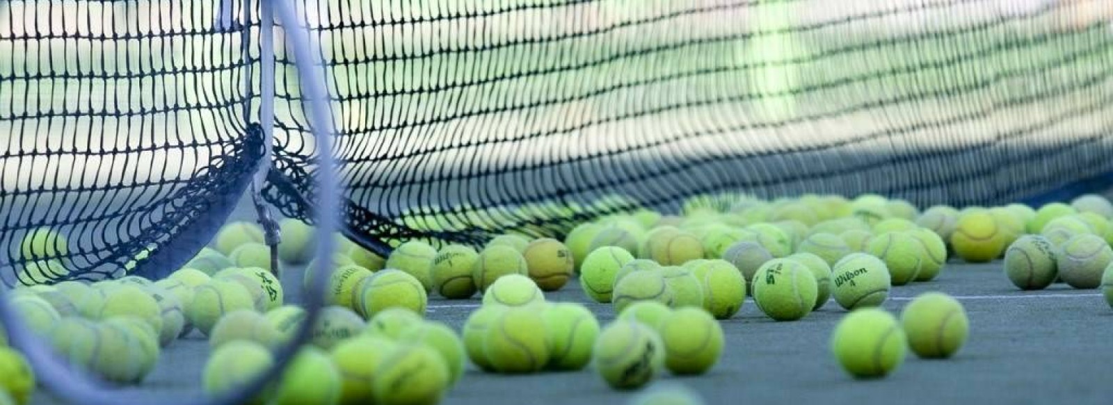 TENNIS DE SAINT VINCENT SUR JARD