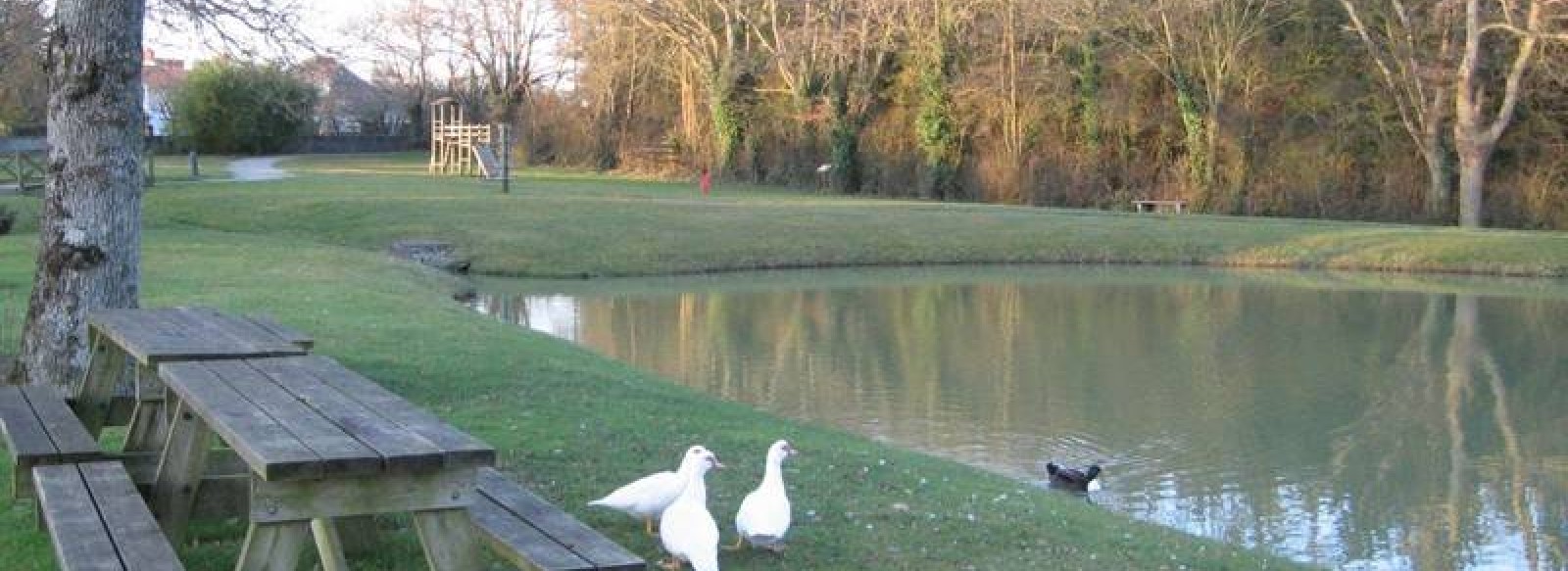 PECHE A L'AIRE DE LOISIRS L'EAU VIVE