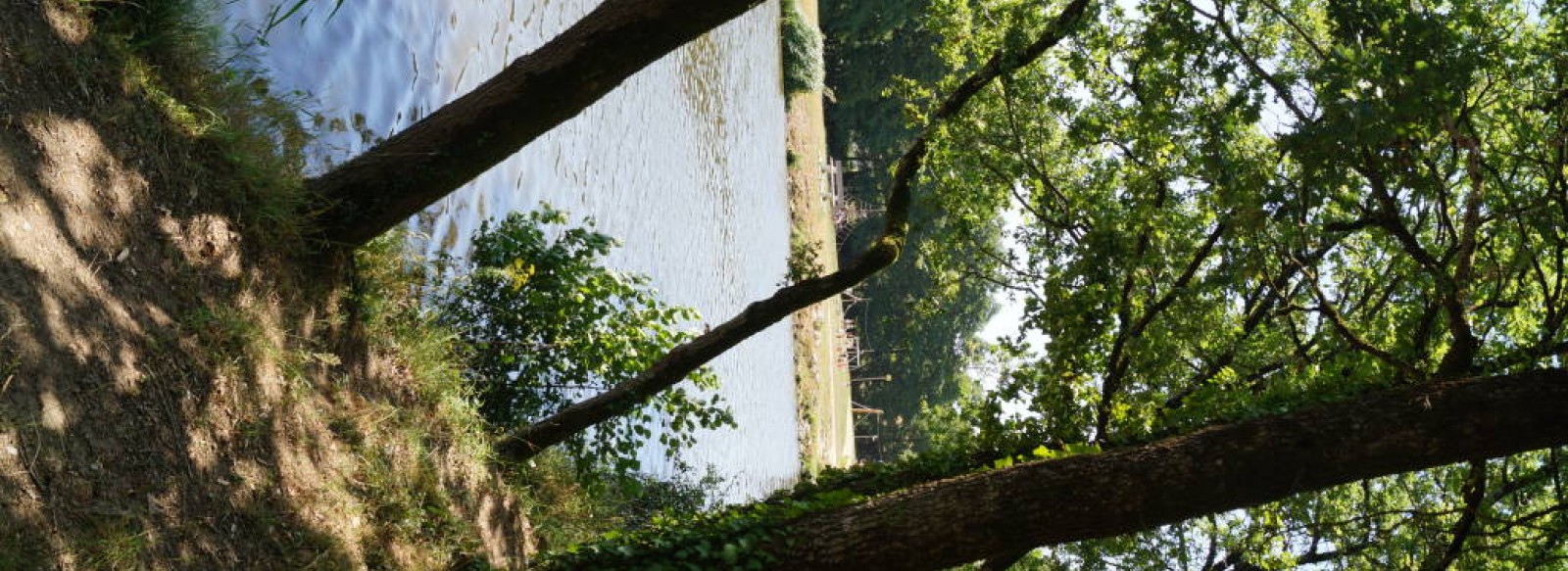 PLAN D'EAU DU MOULIN A ELISE