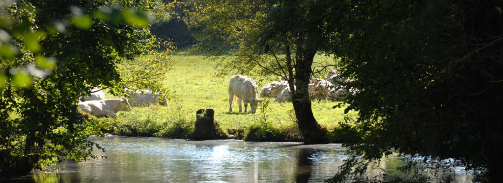 PARCOURS DE PECHE LE PUY, LA BOULOGNE