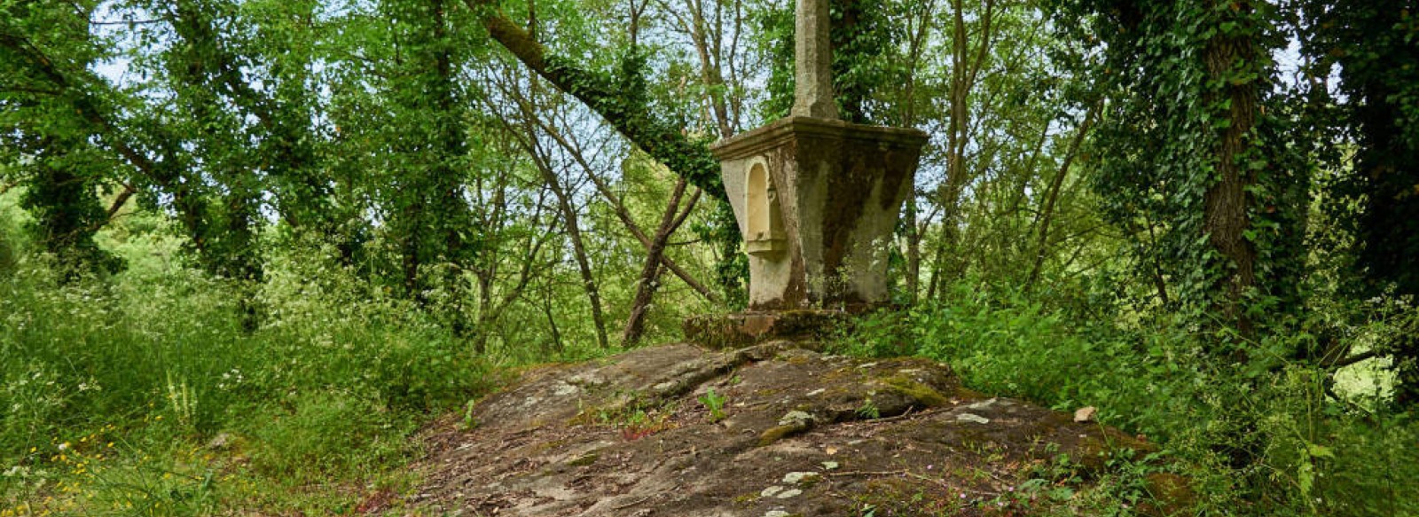 PIERRE A CUPULES DE LA CROIX CANTIN