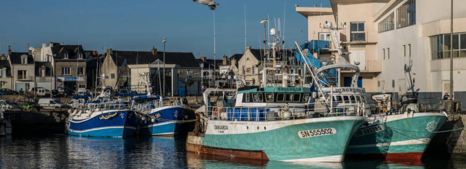 Visite du port de La Turballe