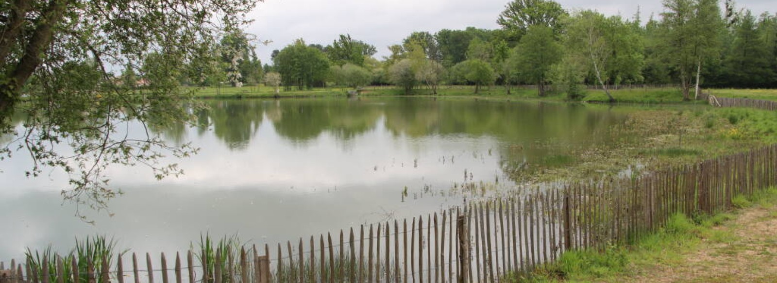 Plan d'eau de Parigne-l'Eveque