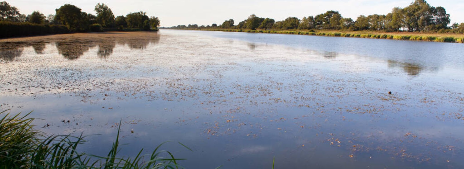 RESERVE ORNITHOLOGIQUE DU MASSEREAU ET DU MIGRON