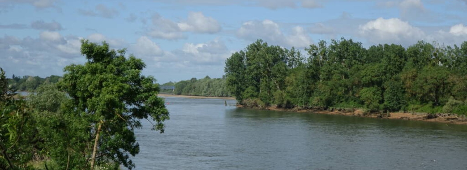 La Loire a Saint-Julien-De-Concelles