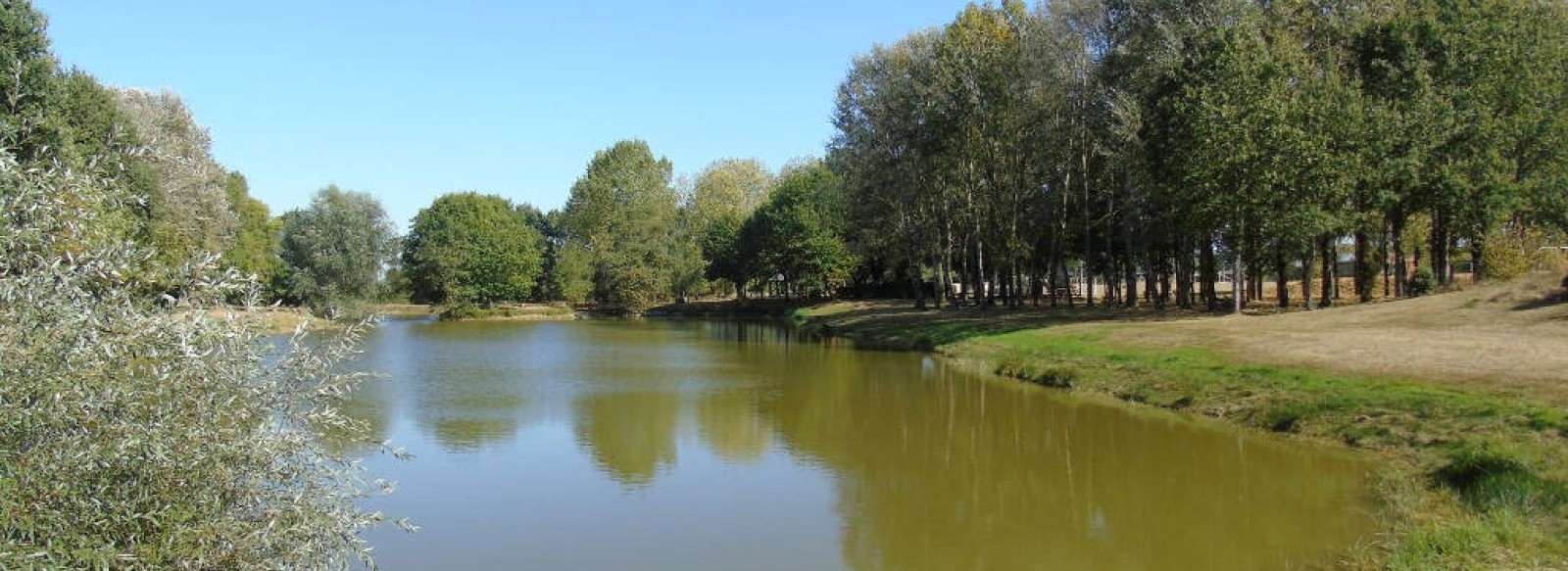 Etang des Bambous